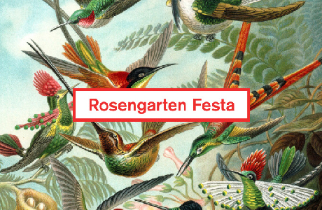 Residency – project for Rosengarten Festa 2014